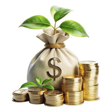 Financial Experts